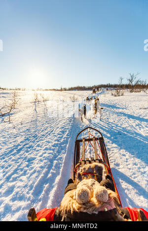 Husky dogs are pulling sledge with little girl on sunny winter day in Northern Norway Stock Photo