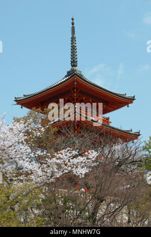 The Five-story pagoda and cherry blossom at Kiyomizu-dera temple, Kyoto, Japan Stock Photo