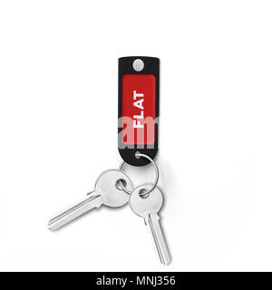 Plastic Clip On Key Ring On white background Stock Photo - Alamy