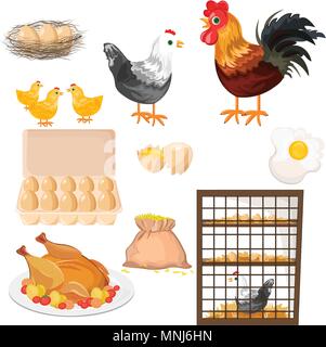 Eco farming. Rooster, chicken and eggs pattern Vector Stock Vector