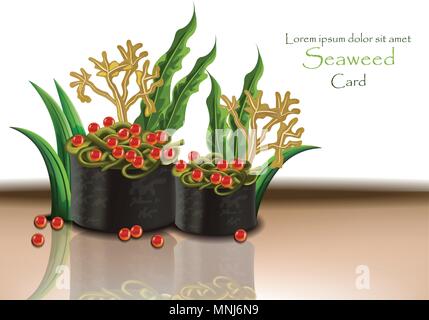 Seaweed and caviar. Vector realistic 3d illustration. Japanese cuisine, sushi nori Stock Vector