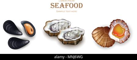 Mussels, Oysters and scallop Seafood Vector. Realistic detailed 3d illustration set collection Stock Vector