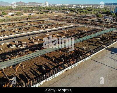 Aerial view of the Rodeo arena, rides and facilities and corrals of the expo  or Ganadera de Sonora Mexico fair (UGRS). Hermosillo Sonora Stock Photo -  Alamy