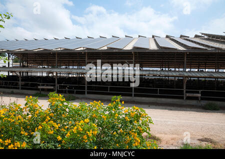 Green energy, solar panels on roof Stock Photo