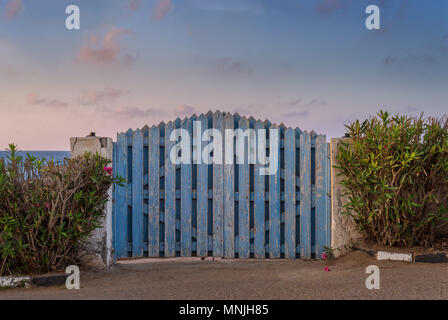 Curved weathered blue wooden garden gate with green bushes at both sides and partly cloudy sky at sunrise time at Montaza public park, Alexandria, Egy Stock Photo