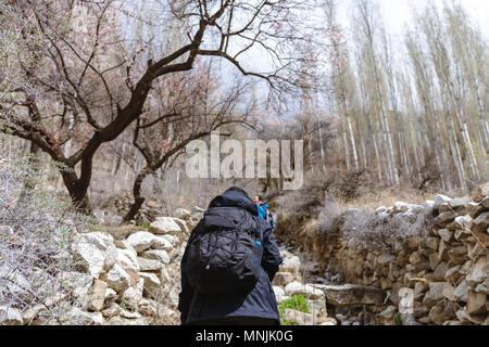 Traveller with backpack walking up the mountain in spring forest Stock Photo