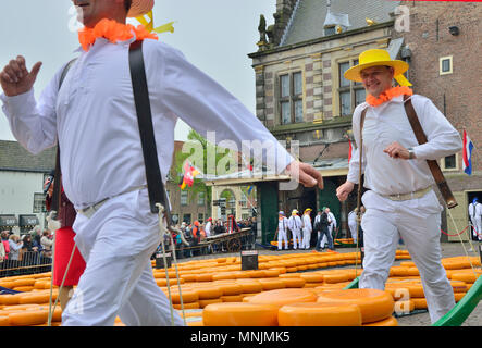 The entertaining cheese market takes place on the Waagplein in Alkmaar, Holland each week during spring and summer. Stock Photo