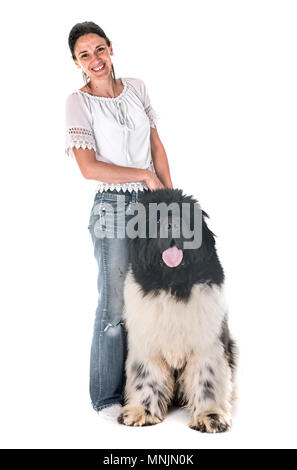 newfoundland dog and woman in front of white background Stock Photo