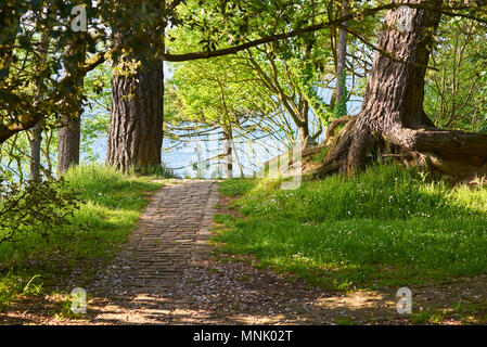 Antique roman road remains in a mediterranean forest with the sea in background. Stock Photo