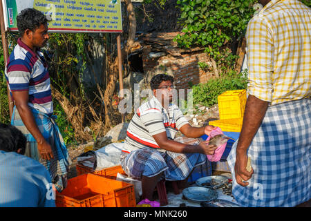 Roadside market for freshly caught local river fish near Thanjavur, formerly Tanjore, a city in the south Indian state of Tamil Nadu, India Stock Photo