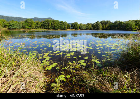 View of scenic Cattana Wetlands, a rehabilitated nature conservation park in Smithfield, near Cairns, Far North Queensland, FNQ, QLD, Australia Stock Photo