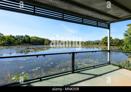 Viewing platform at picturesque Cattana Wetlands, a rehabilitated nature conservation park in Smithfield, near Cairns, Far North Queensland, FNQ, QLD, Stock Photo