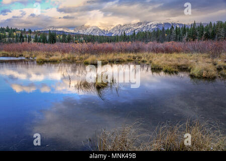 Riley Lake Swamp. Jasper National Park, Canada Stock Photo