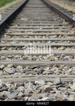 railroad tracks that carried trains to the Auschwitz concentration camp Stock Photo