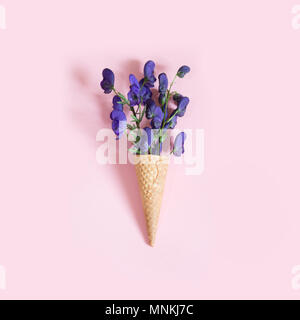 Purple aconitum flower in waffle cone on pink background. Concept. View from above. Stock Photo