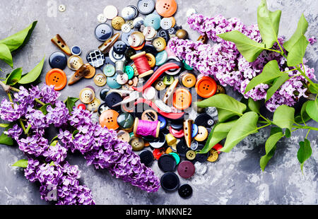 Collection of various sewing button,threads and scissors.Sewing accessories Stock Photo