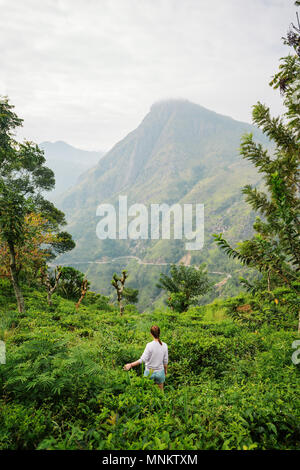 Young woman enjoying breathtaking views over mountains and tea plantations in Ella Sri Lanka Stock Photo
