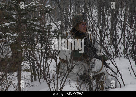 U.S. Marine Corps Staff Sgt. Jose Moreno with Kilo Company, 3rd Battalion, 8th Marine Regiment, conducts the Combined Arms Live Fire Exercise, the culminating event of Artic Edge, at Fort Greely, Alaska, on March 14, 2018. Arctic Edge 2018 is a biennial, large-scale, joint training exercise that prepares and tests the U.S. military's capabilities in Arctic environments. Stock Photo