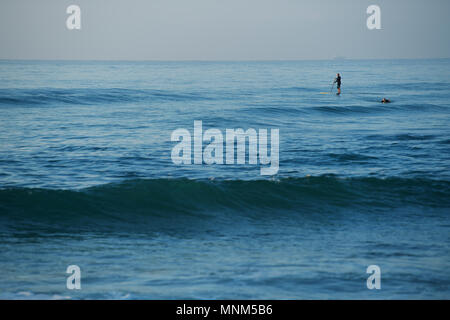 Durban, KwaZulu-Natal, South Africa, adult man on surfboard, male on stand up paddle board, perfect conditions, Umhlanga Rocks beach, landscape Stock Photo