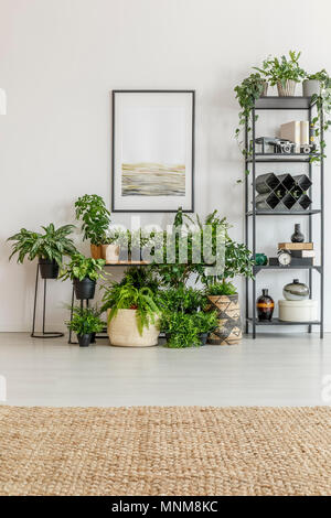 Bright room filled with green plants with simple poster on white wall Stock Photo