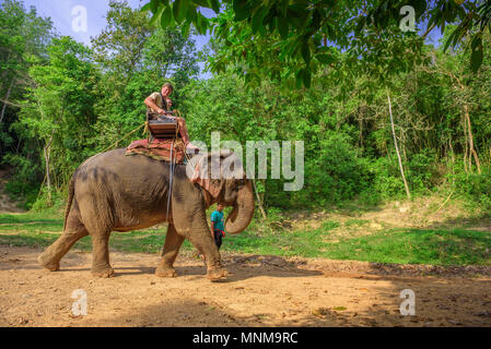 Tourists riding an elephant in Thailand Stock Photo