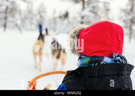 Husky dogs are pulling sledge with a kid at winter forest in Lapland Finland Stock Photo