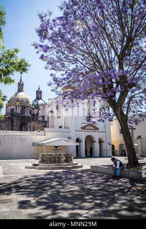 Atrium with jacaranda tree and main entrance to Temple of Carmen de San Angel, Mexico City, Mexico Stock Photo