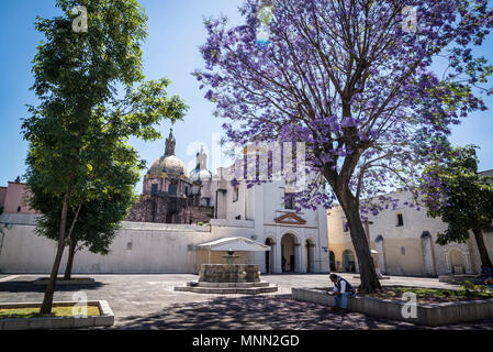 Atrium with jacaranda tree and main entrance to Temple of Carmen de San Angel, Mexico City, Mexico Stock Photo