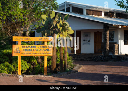 Charles Darwin Research Center in Puerto Ayora, Santa Cruz Island, Galapagos Islands, Ecuador. Stock Photo