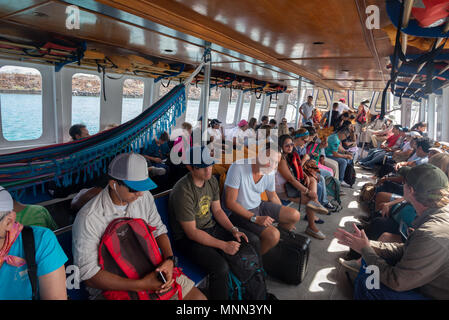 Passengers aboard the ferry that runs between Baltra and Santa