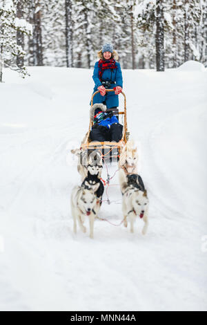 Husky dogs are pulling sledge with family at winter forest in Lapland Finland Stock Photo