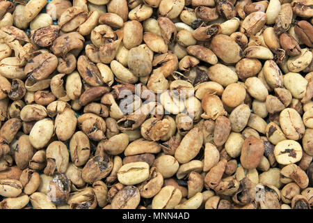 Coffee beans drying, near El Jardin, Antioquia, Colombia Stock Photo