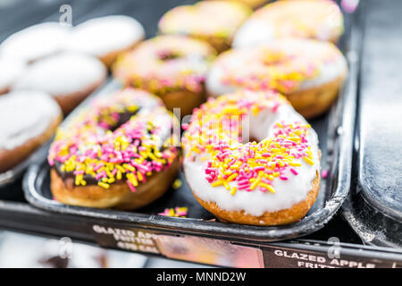 Chocolate and white icing donuts with pink sprinkles closeup on bakery tray, deep fried vanilla, delicious tasty with holes Stock Photo