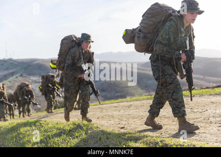 marine mct battalion infantry geiger