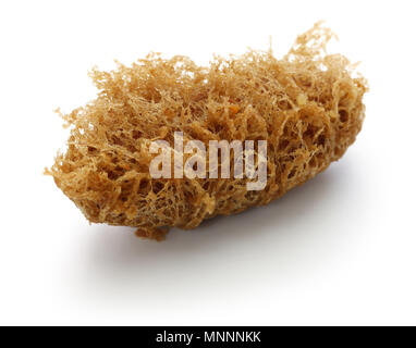 deep fried honeycomb taro dumplings, chinese dim sum isolated on white background Stock Photo