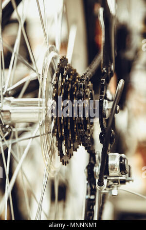 Bike speed changing assembly. Rear wheel. Steel bicycle chain ...