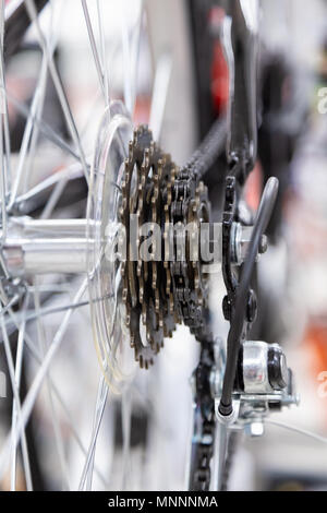 mountain bike rear wheel assembly