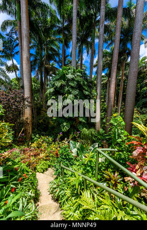 Hunte´s Botanical Garden on the Caribbean island of Barbados. It is a paradise destination with a white sand beach and turquoiuse sea. Stock Photo