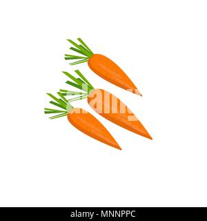 Vector isolated image of orange fresh carrots on white background in flat style. Vegetables detox. Product from the garden. For diets, cooking breakfa Stock Vector