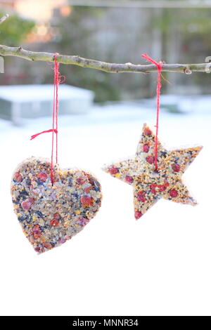 Step by step 6/7: Making winter berry bird feeders with cookie cutters. Homemade heart and star shaped bird feeders hang on tree in garden with snow Stock Photo