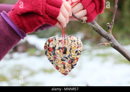 Step by step 6/7: Making winter berry bird feeders with cookie cutters. Homemade heart shaped bird feeder hung from tree branch in garden after snow Stock Photo