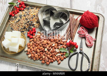 Step By Step 1 7 Making Winter Berry Bird Feeders With Cookie