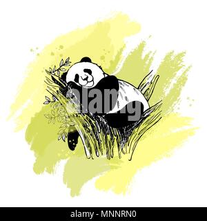 Hand drawn sketch style giant panda sleeping on the tree. Isolated vector illustration. Stock Vector