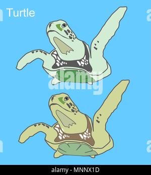 two colorful sea animals, turtles or pet turtles as a vector Stock Vector