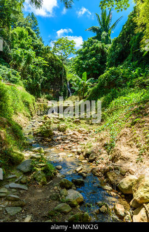 View of Drive-In Volcano Sulphur Springs on the Caribbean island of St. Lucia. La Soufriere Volcano is the only drive-in volcano in the world. Stock Photo