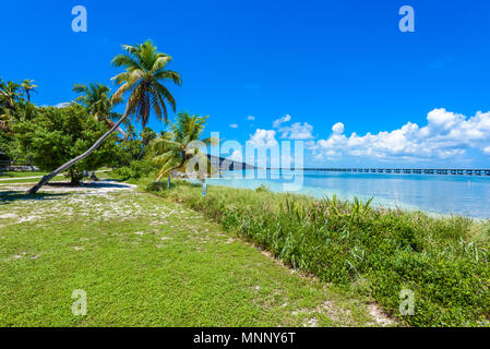 Bahia Honda State Park - Calusa Beach, Florida Keys - tropical coast with paradise beaches - USA Stock Photo