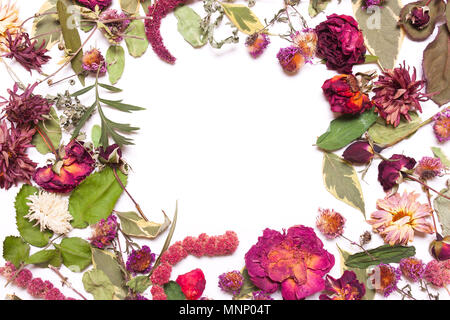 Frame of dried flowers, pink, red roses and green leaves on a white background. View  above, flat lay Stock Photo
