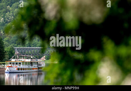 18 May 2018, Germany, Bodenwerder: The excursion boat 'Karlshafen' moored on the River Weser. Photo: Hauke-Christian Dittrich/dpa Stock Photo