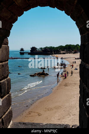 Qinhuangdao, China's Hebei Province. 18th May, 2015. Ruffs are seen at ...