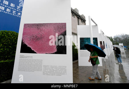 Zhengzhou, China's Henan Province. 19th May, 2018. People view the exhibited photos during the 17th China International Photographic Art Festival in Zhengzhou, capital of central China's Henan Province, May 19, 2018. Credit: Zhu Xiang/Xinhua/Alamy Live News Stock Photo